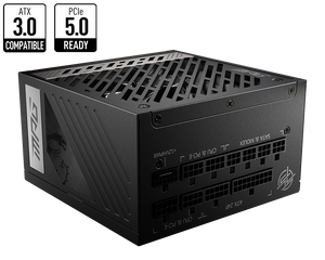 MSI MPG A1000G PCIE5 80+ GOLD