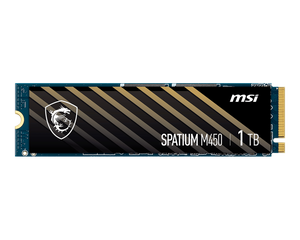 MSI SSD PCIe Gen4 SPATIUM M461 1000GB