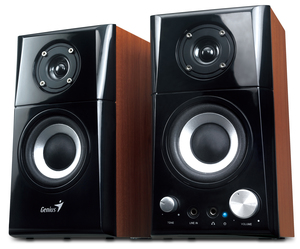Wooden speakers GENIUS SP-HF500A II