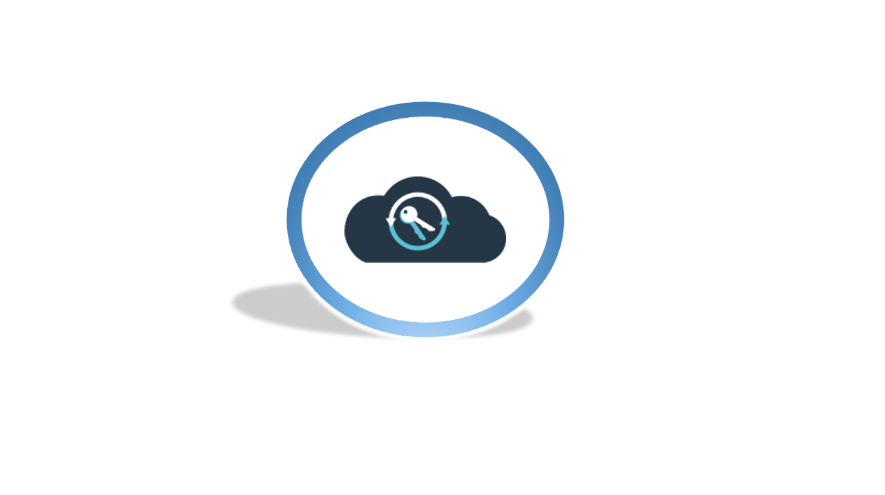 CipherTrust Cloud Key Manager CIPHERTRUST