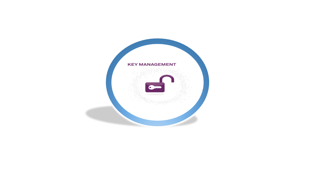 Vormetric Tokenization with Dynamic Data Masking VORMETRIC