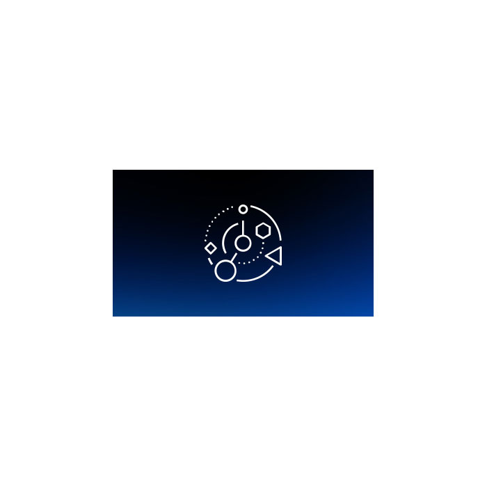 IBM Maximo Enterprise Asset Management IBM