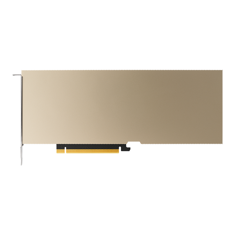 NVIDIA  A10 Passive PCIe  24GB Non-CEC NVIDIA
