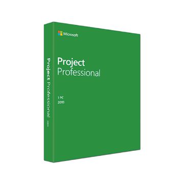 Project Pro 2019 Win English Medialess  -  FOR WIN 10 ONLY