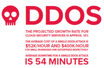 DDoS Protection