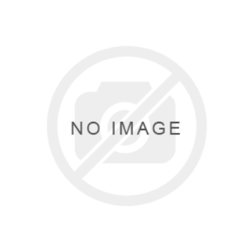 Intel E810-XXV Dual Port 10/25GbE SFP28, OCP NIC 3